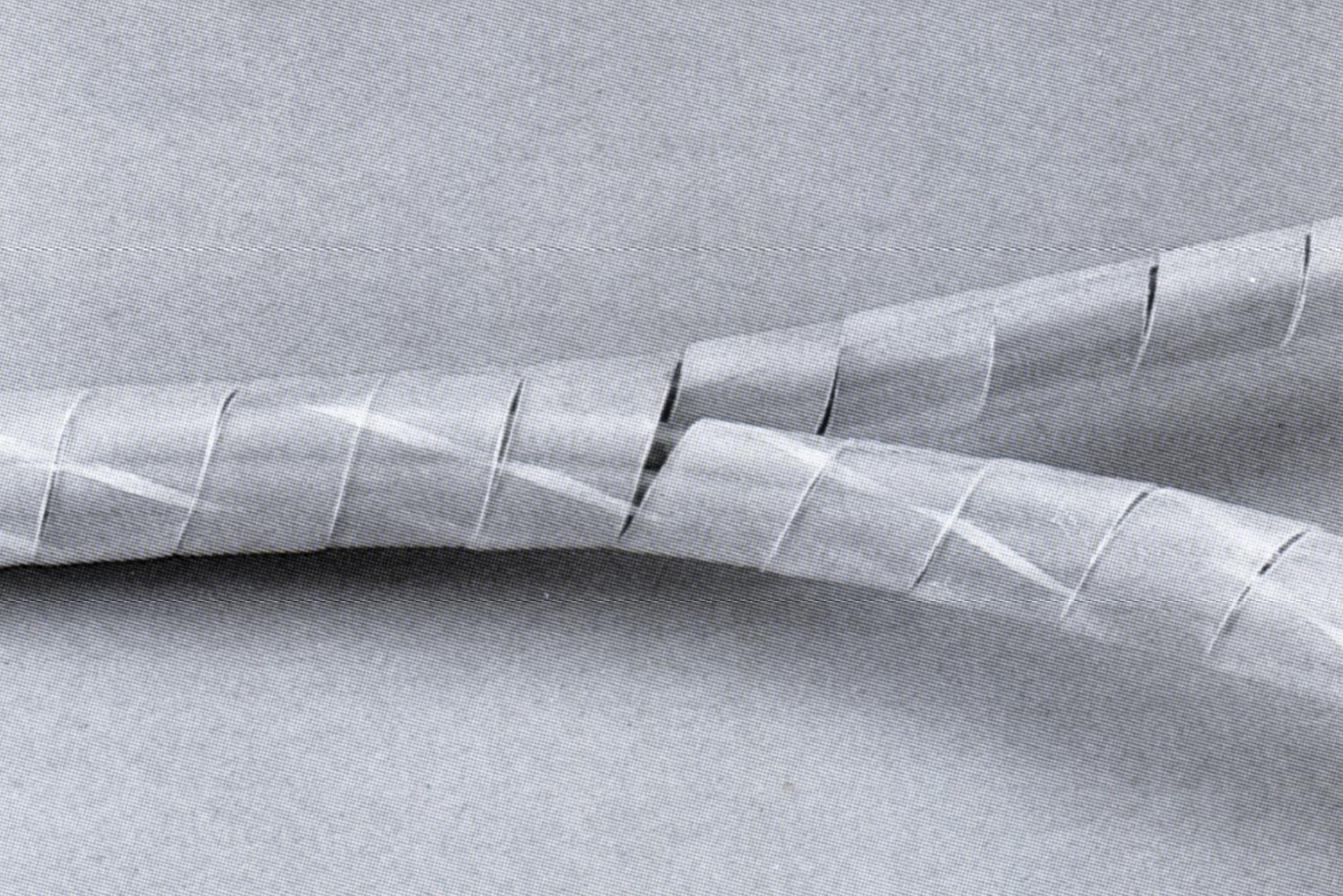 Spiralband und Kantenschutz